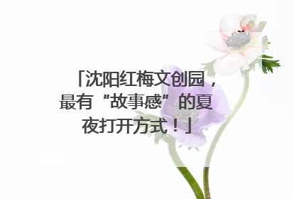 沈阳红梅文创园，最有“故事感”的夏夜打开方式！