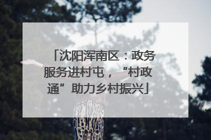 沈阳浑南区：政务服务进村屯，“村政通”助力乡村振兴
