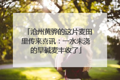 沧州黄骅的这片麦田里传来喜讯：一水未浇的旱碱麦丰收了