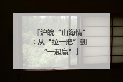 沪皖“山海情”：从“拉一把”到“一起赢”