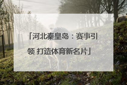 河北秦皇岛：赛事引领 打造体育新名片