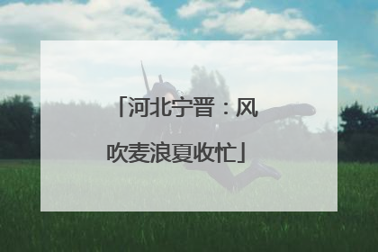 河北宁晋：风吹麦浪夏收忙