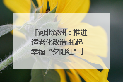 河北深州：推进适老化改造 托起幸福“夕阳红”