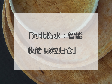 河北衡水：智能收储 颗粒归仓