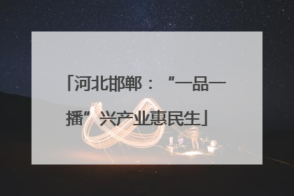 河北邯郸：“一品一播”兴产业惠民生