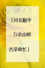 河北顺平：万余亩鲜杏采收忙