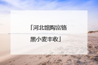 河北馆陶富铬黑小麦丰收