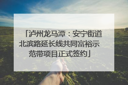 泸州龙马潭：安宁街道北滨路延长线共同富裕示范带项目正式签约