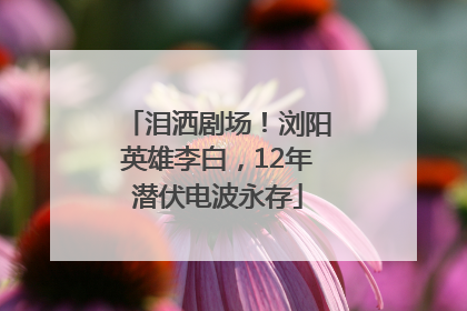 泪洒剧场！浏阳英雄李白，12年潜伏电波永存