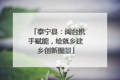 泰宁县：闽台携手赋能，绘就乡建乡创新图景