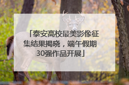 泰安高校最美影像征集结果揭晓，端午假期30强作品开展