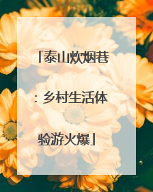 泰山炊烟巷：乡村生活体验游火爆