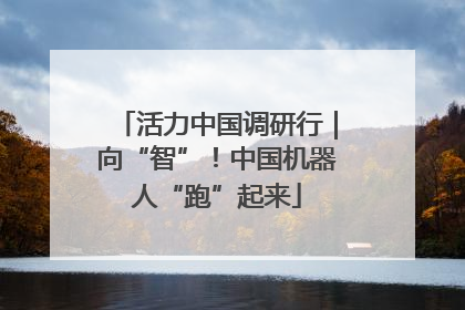 活力中国调研行｜向“智”！中国机器人“跑”起来