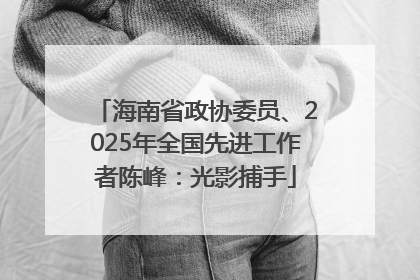 海南省政协委员、2025年全国先进工作者陈峰：光影捕手