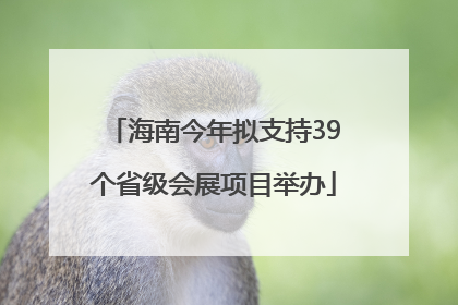 海南今年拟支持39个省级会展项目举办