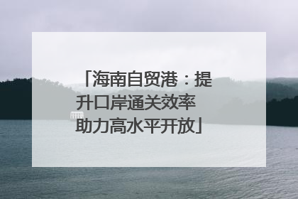 海南自贸港：提升口岸通关效率 助力高水平开放
