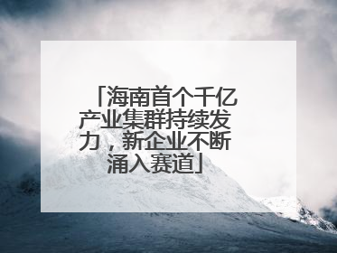海南首个千亿产业集群持续发力，新企业不断涌入赛道