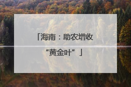 海南：助农增收 “黄金叶”