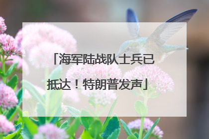 海军陆战队士兵已抵达！特朗普发声