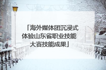 海外媒体团沉浸式体验山东省职业技能大赛技能成果