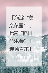 海淀“莫奈花园”，上演“稻田音乐会”！现场直击