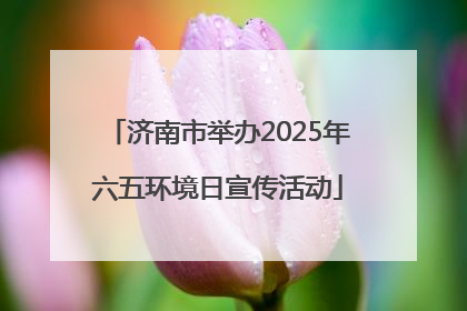 济南市举办2025年六五环境日宣传活动