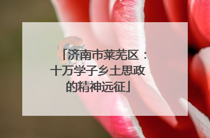 济南市莱芜区：十万学子乡土思政的精神远征