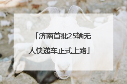 济南首批25辆无人快递车正式上路