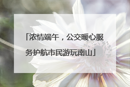 浓情端午，公交暖心服务护航市民游玩南山