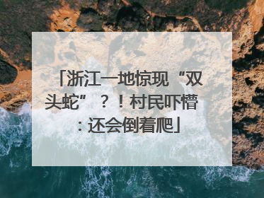 浙江一地惊现“双头蛇”？！村民吓懵：还会倒着爬