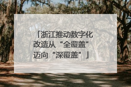 浙江推动数字化改造从“全覆盖”迈向“深覆盖”