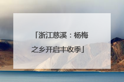 浙江慈溪：杨梅之乡开启丰收季