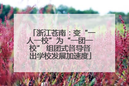 浙江苍南：变“一人一校”为“一团一校” 组团式督导督出学校发展加速度