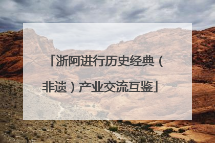 浙阿进行历史经典（非遗）产业交流互鉴