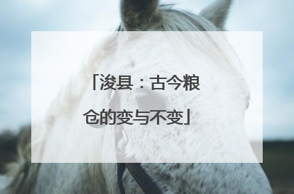 浚县：古今粮仓的变与不变