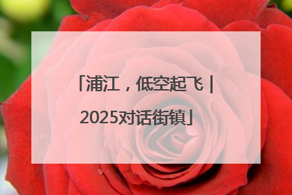 浦江，低空起飞｜2025对话街镇