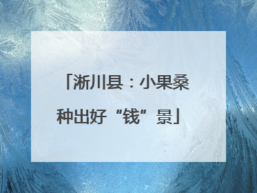 淅川县：小果桑种出好“钱”景