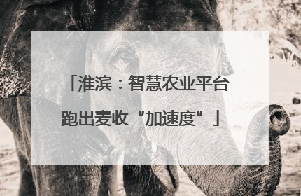 淮滨：智慧农业平台跑出麦收“加速度”