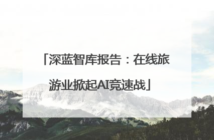 深蓝智库报告：在线旅游业掀起AI竞速战