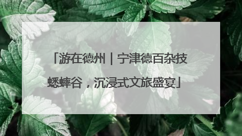 游在德州｜宁津德百杂技蟋蟀谷，沉浸式文旅盛宴