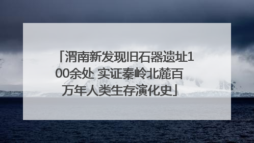 渭南新发现旧石器遗址100余处 实证秦岭北麓百万年人类生存演化史