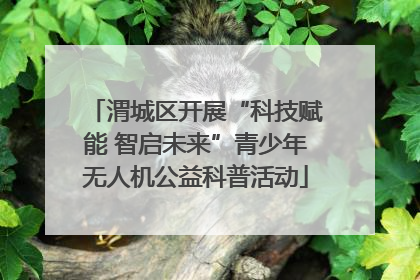 渭城区开展“科技赋能 智启未来”青少年无人机公益科普活动