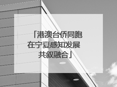 港澳台侨同胞在宁夏感知发展 共叙融合
