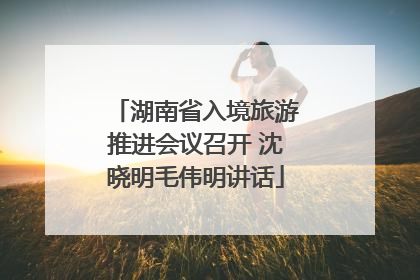 湖南省入境旅游推进会议召开 沈晓明毛伟明讲话
