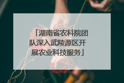 湖南省农科院团队深入武陵源区开展农业科技服务