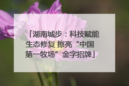 湖南城步：科技赋能生态修复 擦亮“中国第一牧场”金字招牌