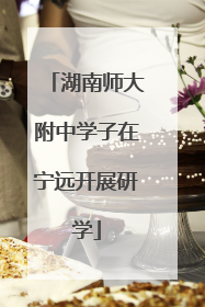 湖南师大附中学子在宁远开展研学