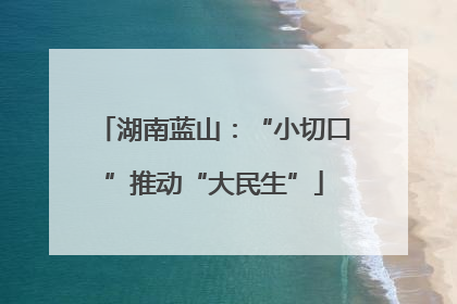 湖南蓝山：“小切口”推动“大民生”