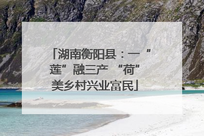 湖南衡阳县：一“莲”融三产 “荷”美乡村兴业富民
