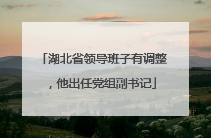 湖北省领导班子有调整，他出任党组副书记